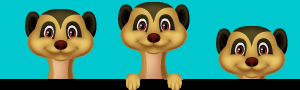 www.happymeerkats.com